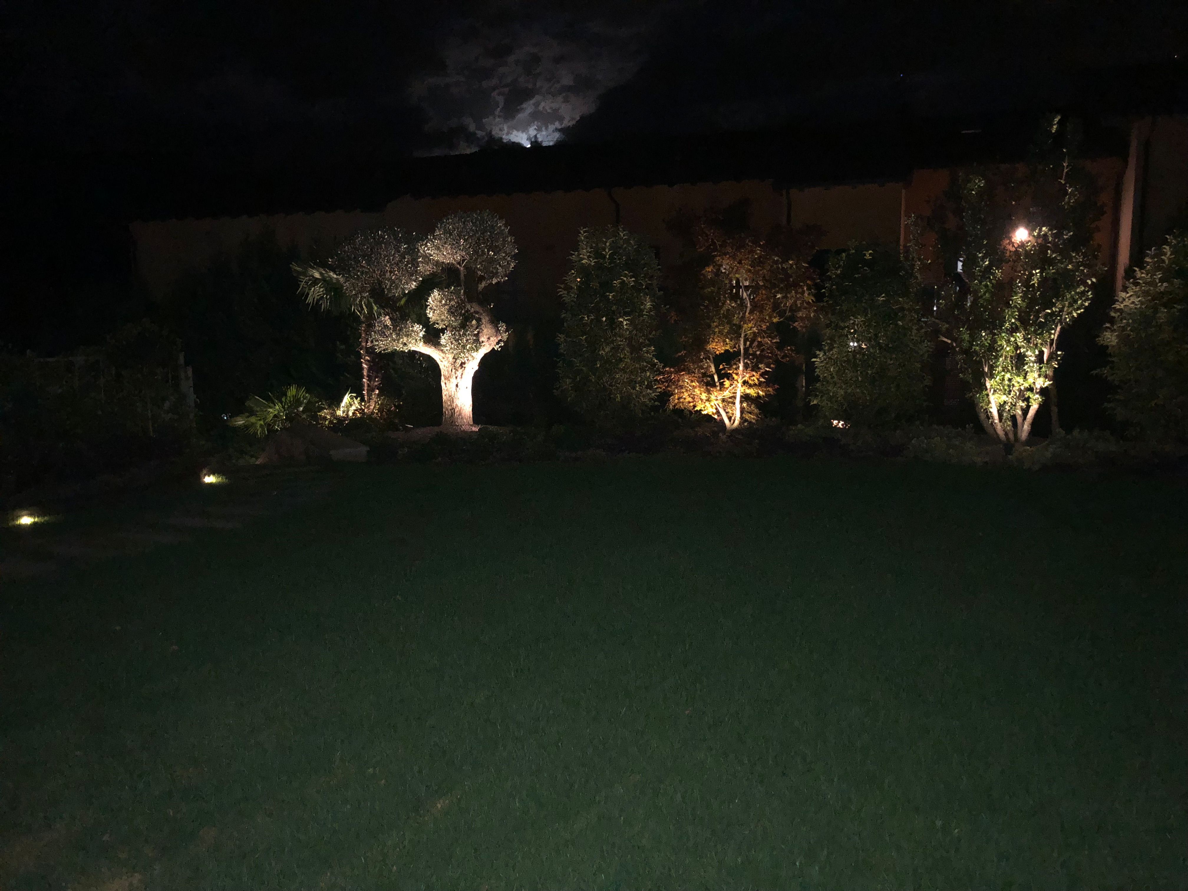 Illuminazione Giardino